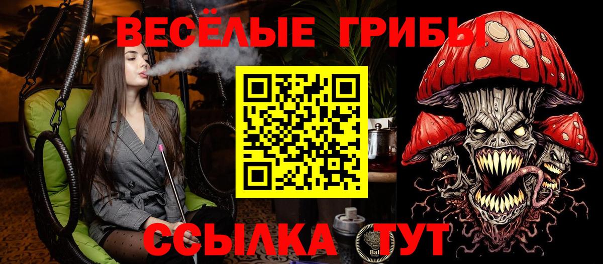 Галлюциногенные грибы MAGIC MUSHROOMS Рославль