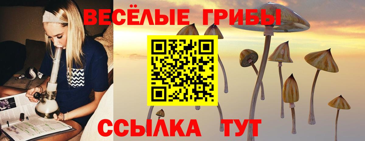 Рославль  Галлюциногенные грибы ЛСД  Вход с VPN 